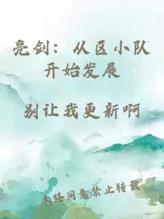 亮劍：從區(qū)小隊(duì)開(kāi)始發(fā)展