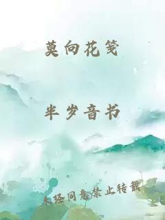 莫向花箋