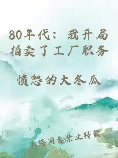 80年代：我開局拍賣了工廠職務(wù)