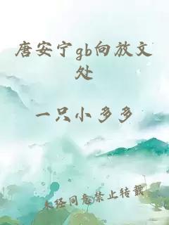 唐安寧gb向放文處