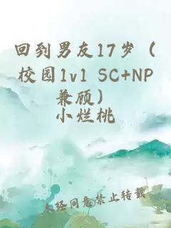 回到男友17歲（校園1v1 SC+NP兼顧）