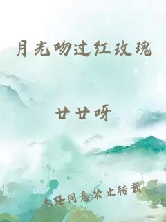 月光吻過紅玫瑰